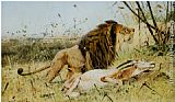 Wilhelm Kuhnert Canvas Paintings - Lion and his Prey